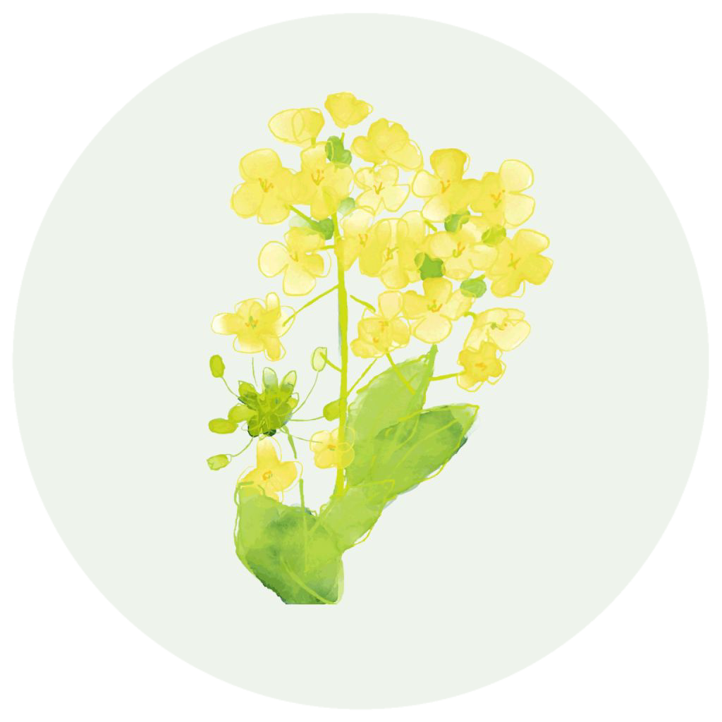 こころ